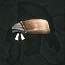 Kopfband des Gauners
